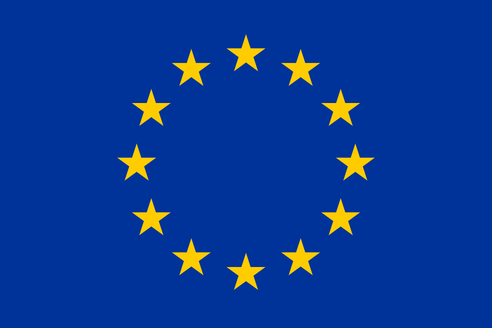 International projects